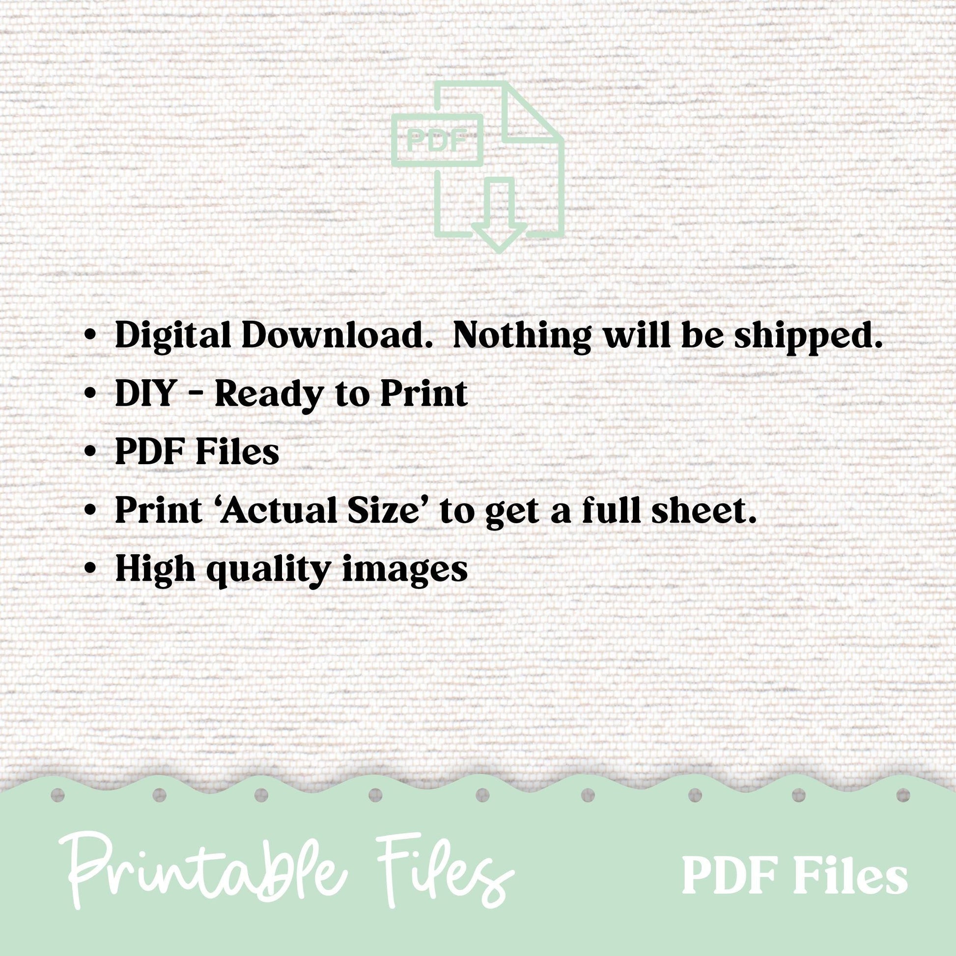PRINTABLE Planner Bundle - Monthly, Weekly, Daily, Notes Journaling 255P PDF Download GoodNotes - Digital Planner