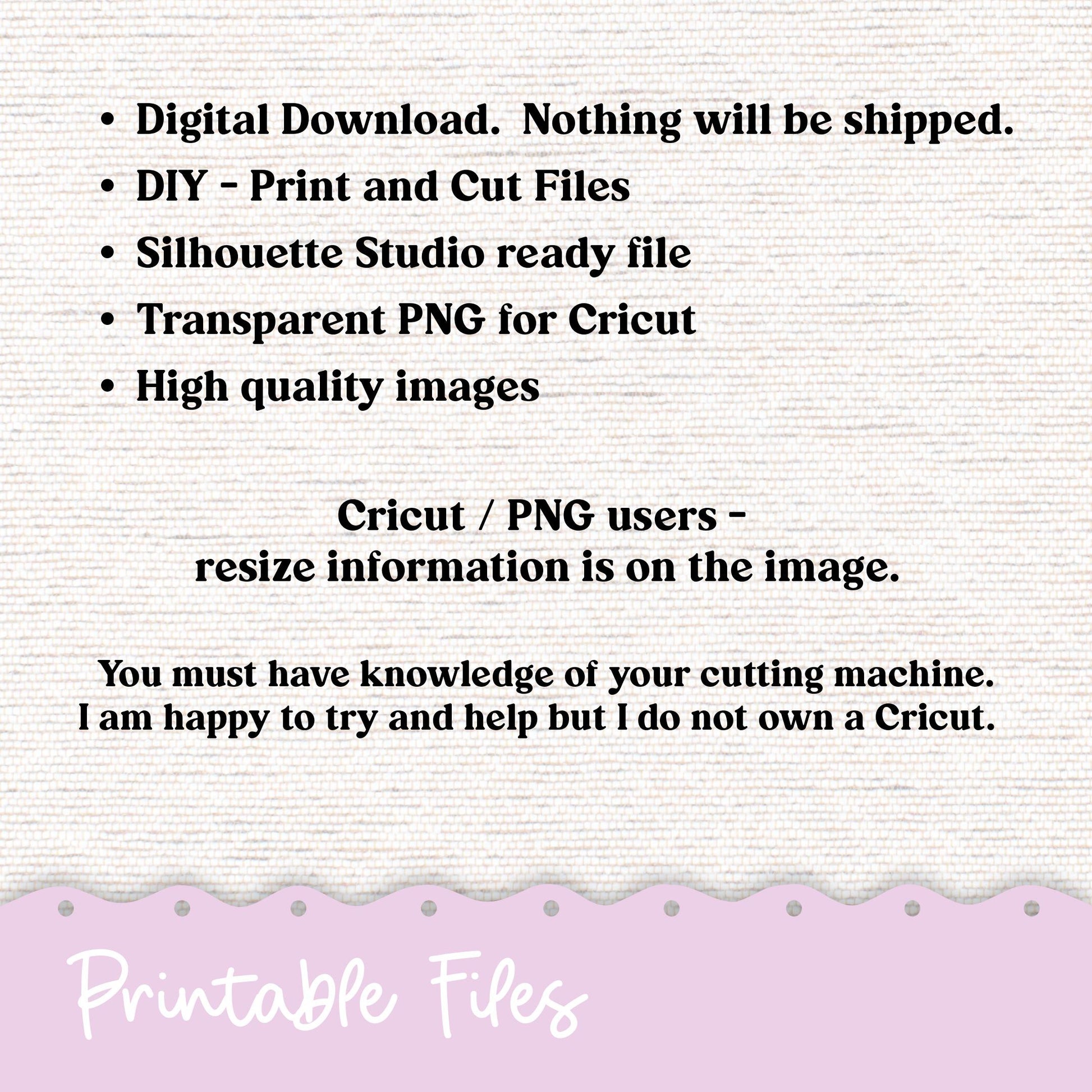 253P PRINTABLE Washi Strips Stickers Print and Cut Silhouette and Cricut - 253P- Glassy Florals