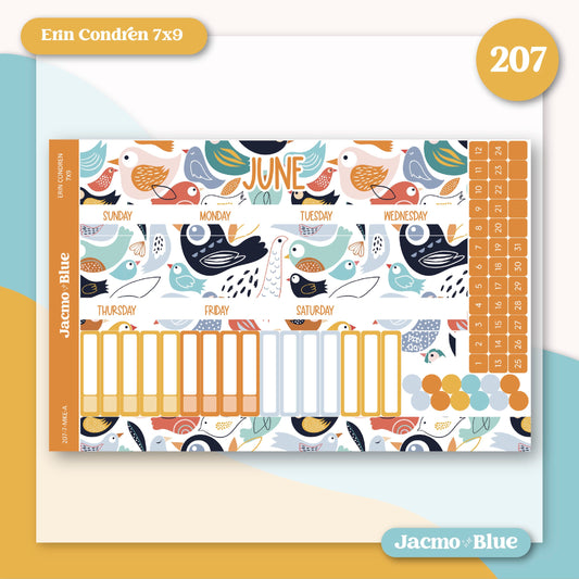 Erin Condren June Stickers