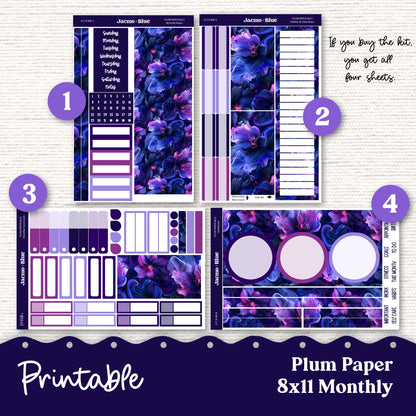 PRINTABLE Plum Paper Planner Monthly Stickers Spring 8x11 7x9 A5 Print and Cut - Kit 217 Moody Includes Bill Due Auto Pay and Months