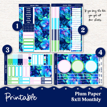 PRINTABLE Plum Paper Planner Monthly Stickers Spring 8x11 7x9 A5 Print and Cut - Kit 218 Extrovert Includes Bill Due Auto Pay and Months