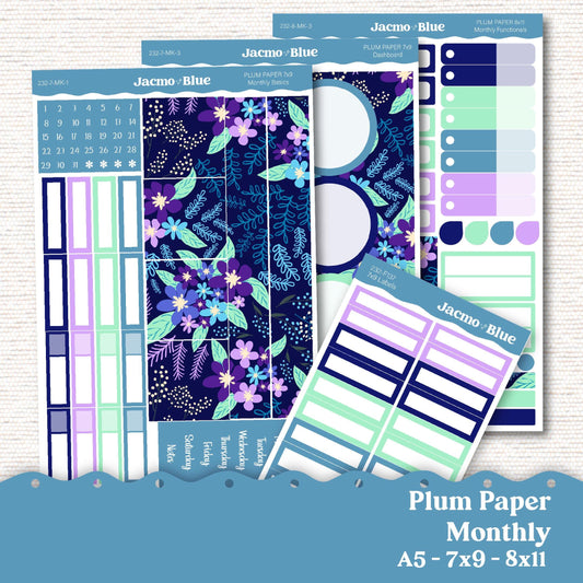 Plum Paper Monthly Sticker Kit for 8x11 7x9 A5 Planners - Kit 236 Planner Stickers January 2025