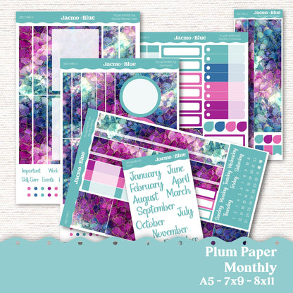 Plum Paper Monthly Sticker Kit for 8x11 7x9 A5 Planners Stickers - Kit 260 Crackle